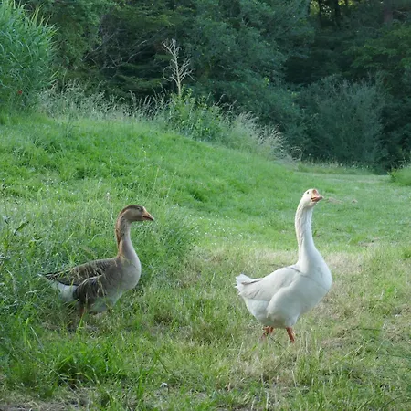 Yourte Mongole Aux Nuits Insolites D'argoumbat Campingplads