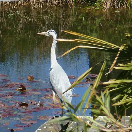 Yourte Mongole Aux Nuits Insolites D'argoumbat Campingplads *