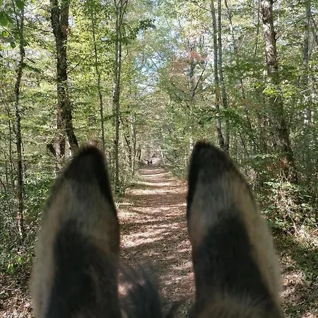 Kamp alanı Yourte Mongole Aux Nuits Insolites D'argoumbat *
